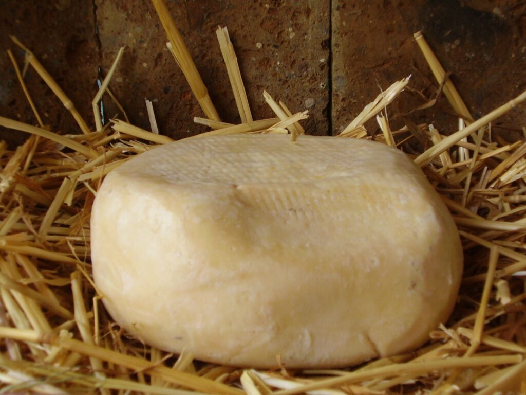 Formaggio di Fossa DOP | forlì - cesena - Emilia Romagna