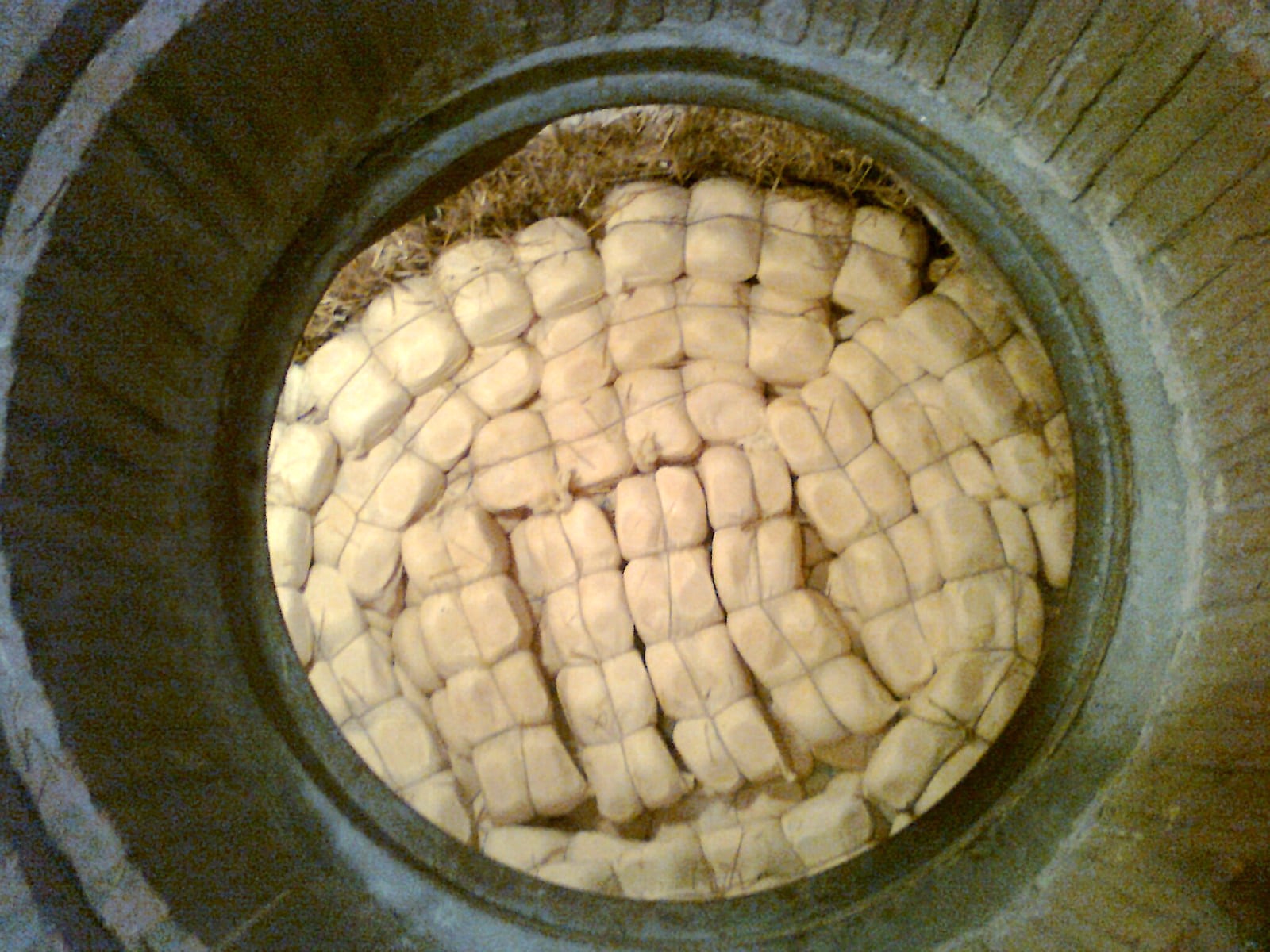 fossa 21